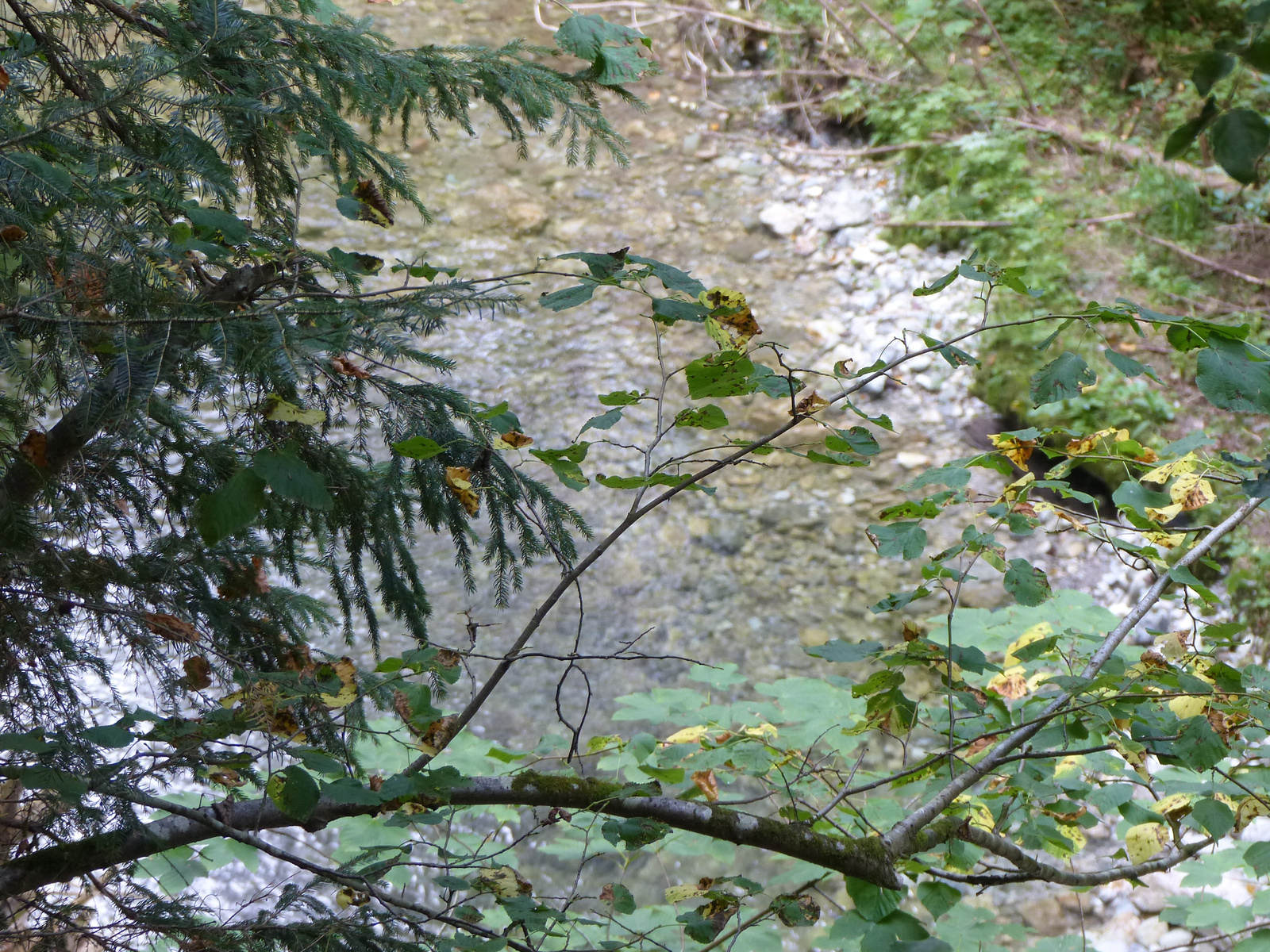 Szlovák Paradicsom, a Hernád völgye, SzG3