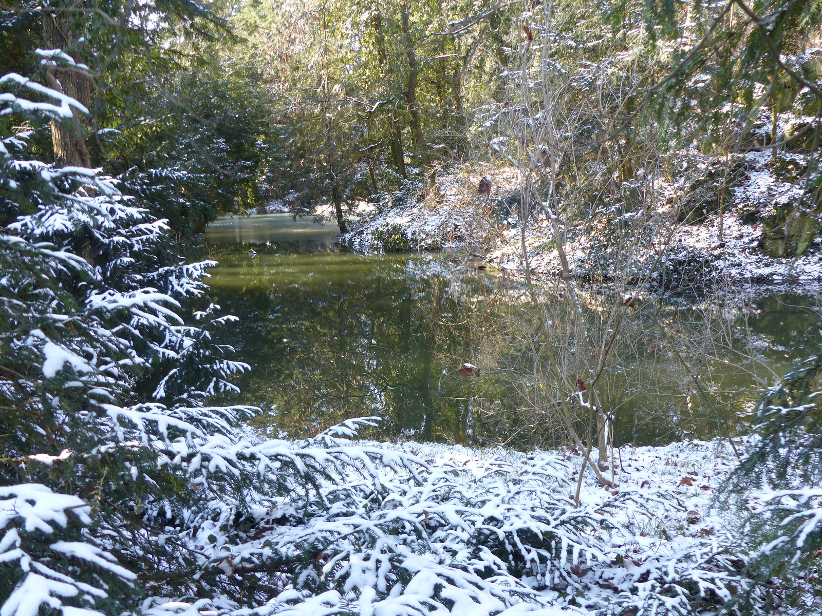 Vácrátót, az Arborétum télen, SzG3