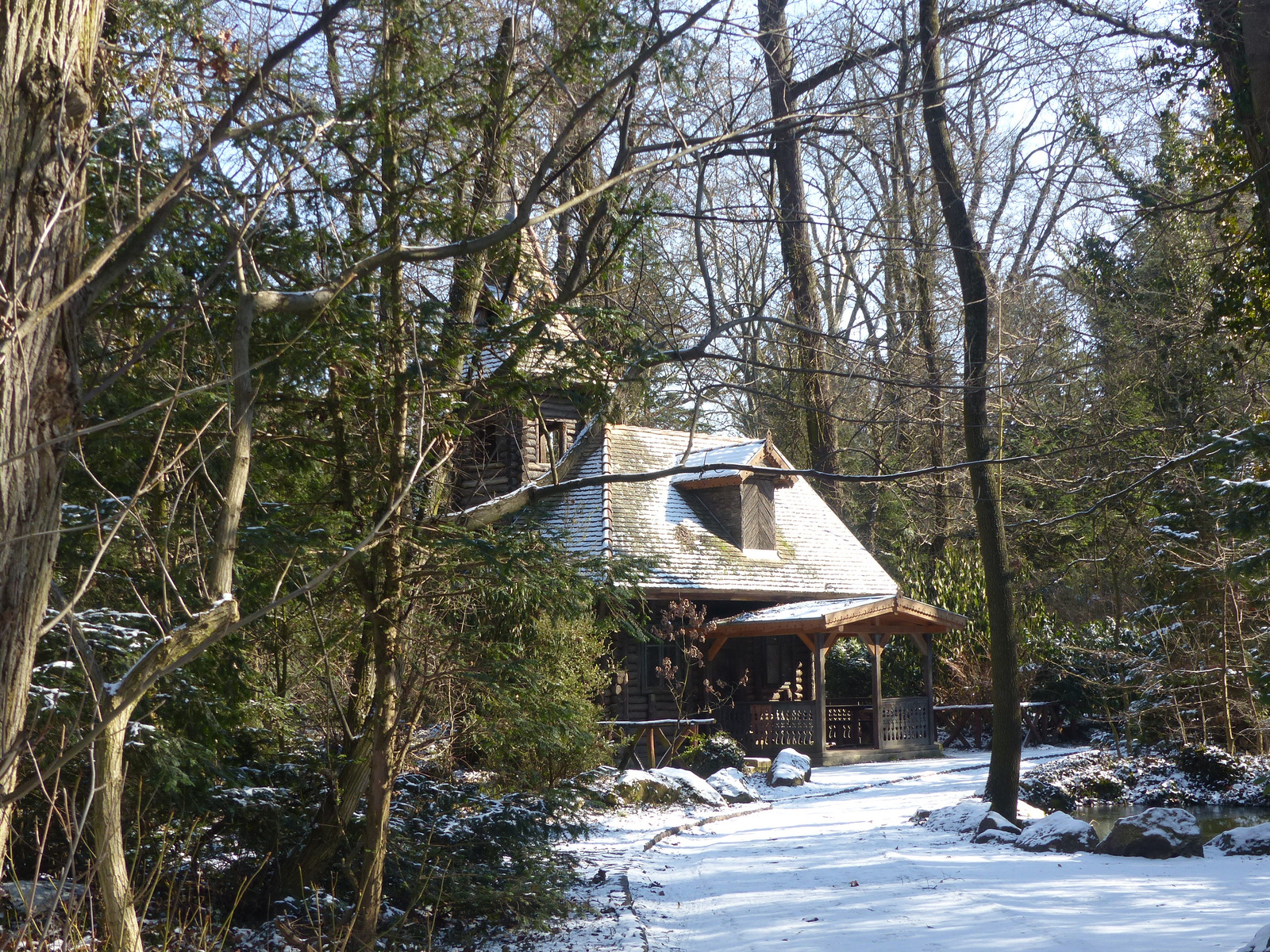 Vácrátót, az Arborétum télen, SzG3