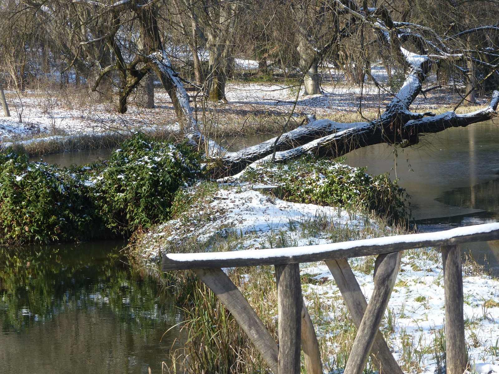 Vácrátót, az Arborétum télen, SzG3