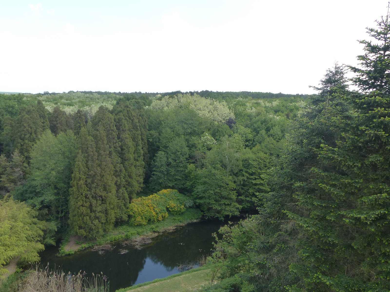 Magyarország, Kám, a Jeli Arborétum (Varázskert), SzG3