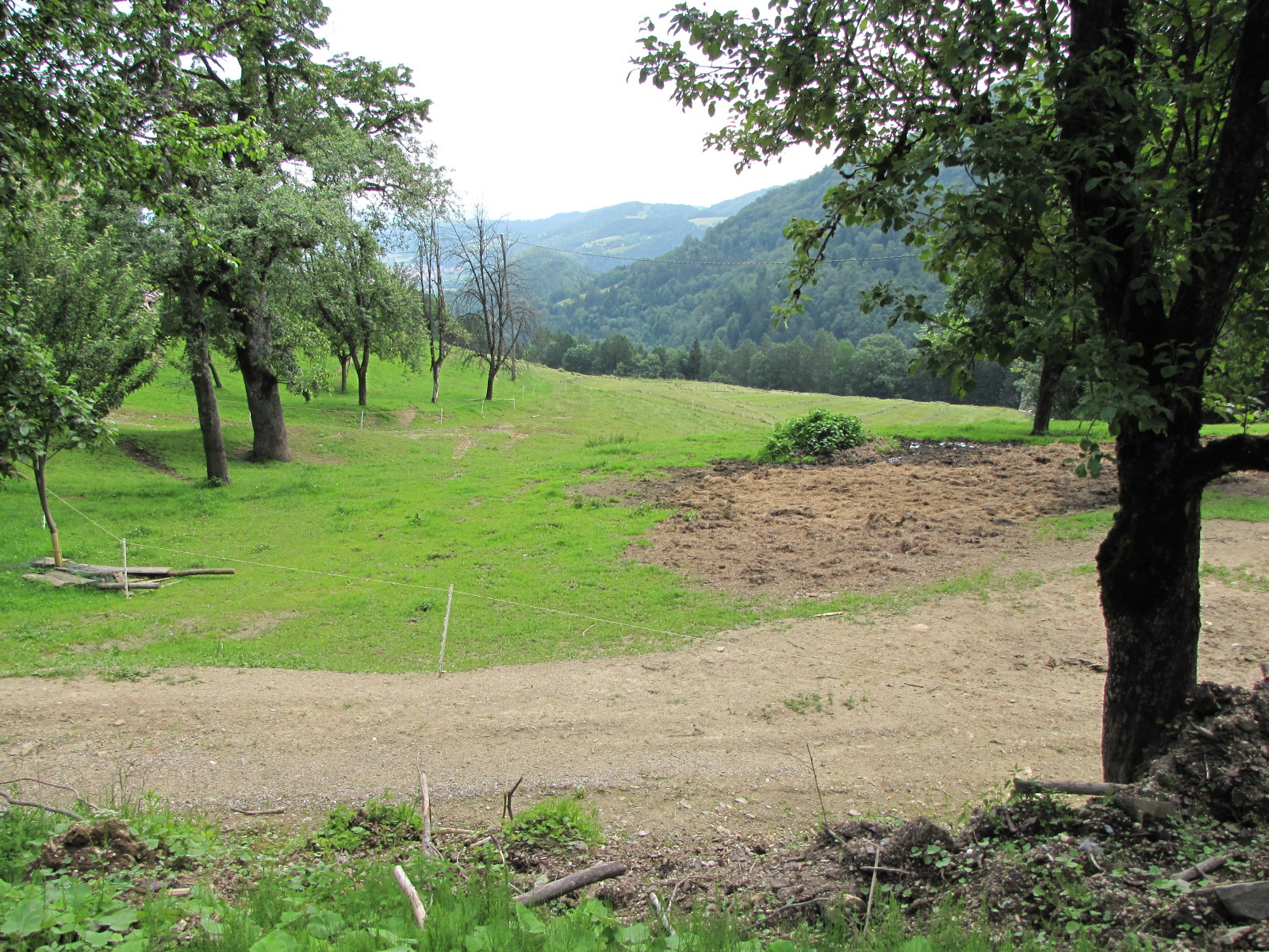 Planina pod Šumikom, Lobnica patak szurdoka, SzG3