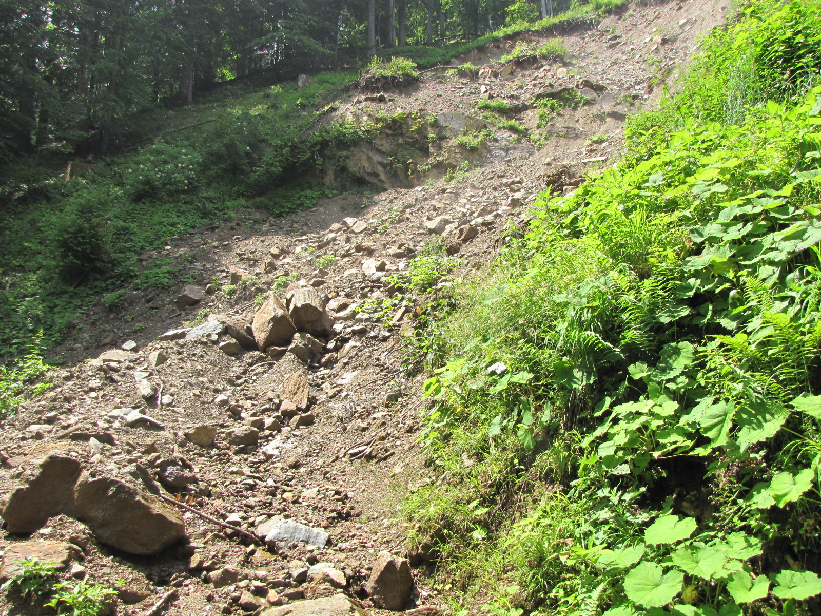 Planina pod Šumikom, Lobnica patak szurdoka, SzG3