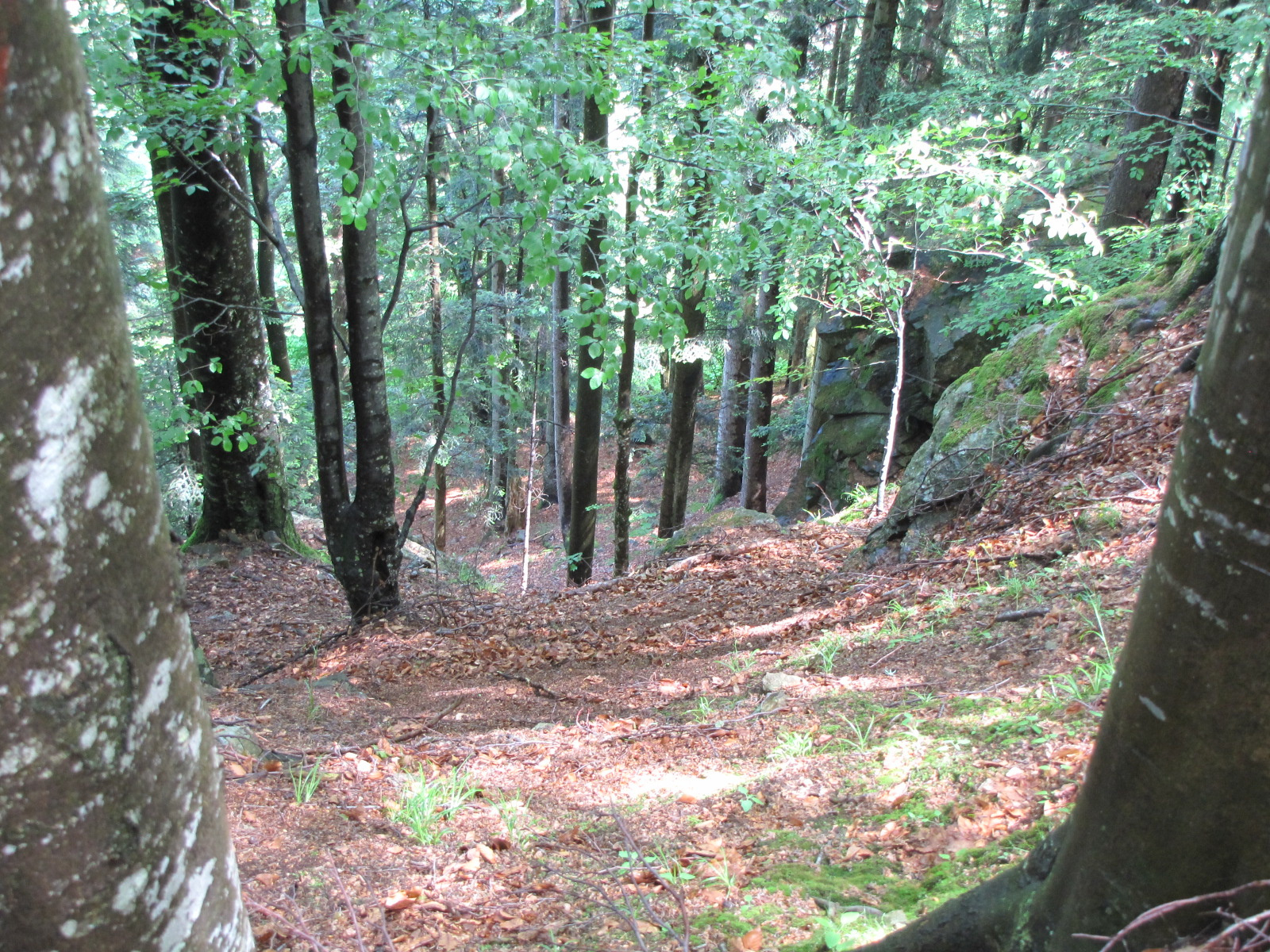 Planina pod Šumikom, Lobnica patak szurdoka, SzG3