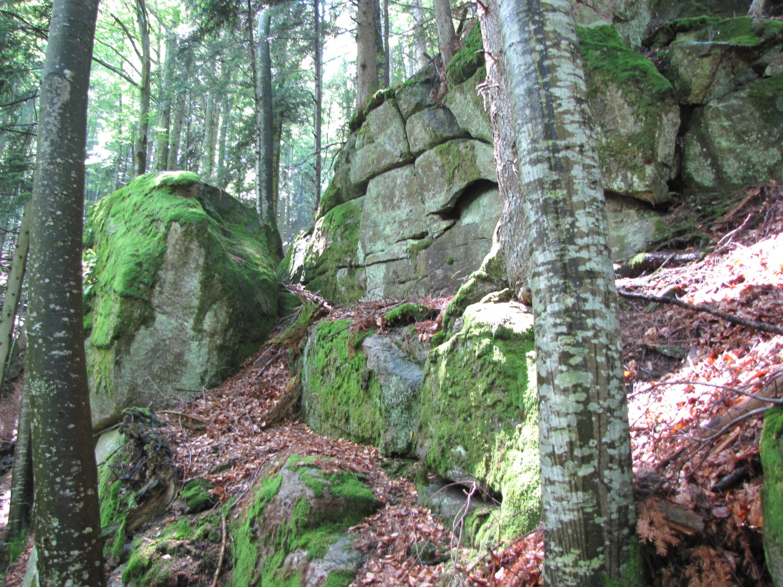 Planina pod Šumikom, Lobnica patak szurdoka, SzG3