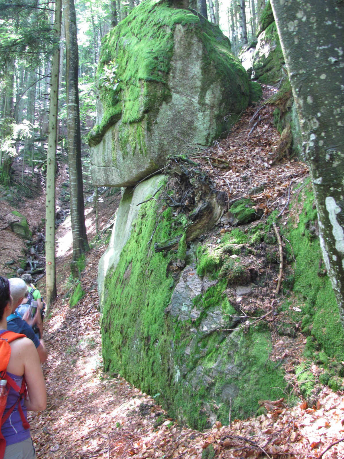 Planina pod Šumikom, Lobnica patak szurdoka, SzG3