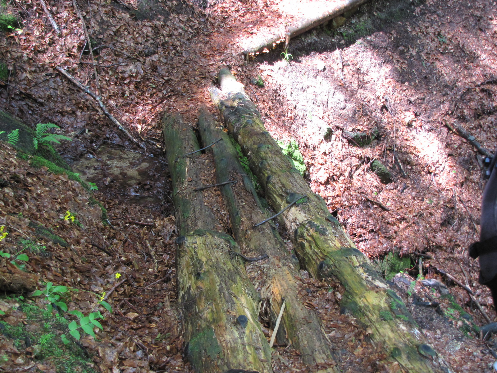 Planina pod Šumikom, Lobnica patak szurdoka, SzG3