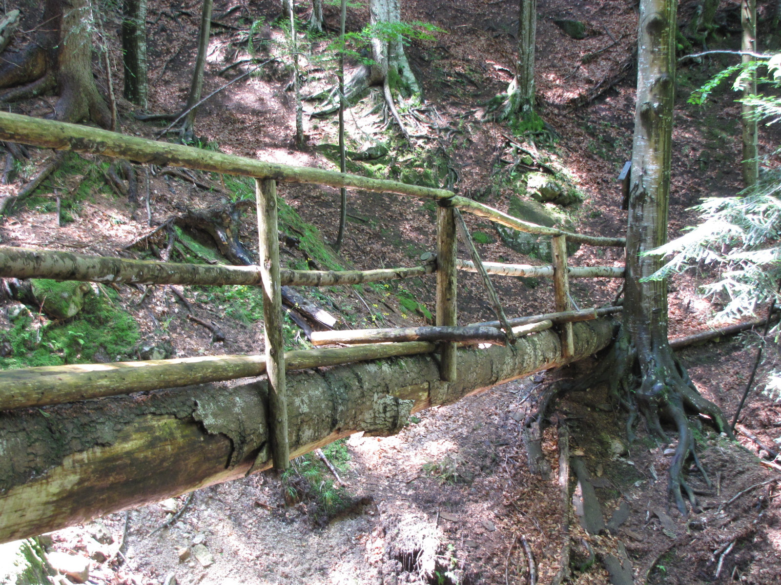 Planina pod Šumikom, Lobnica patak szurdoka, SzG3