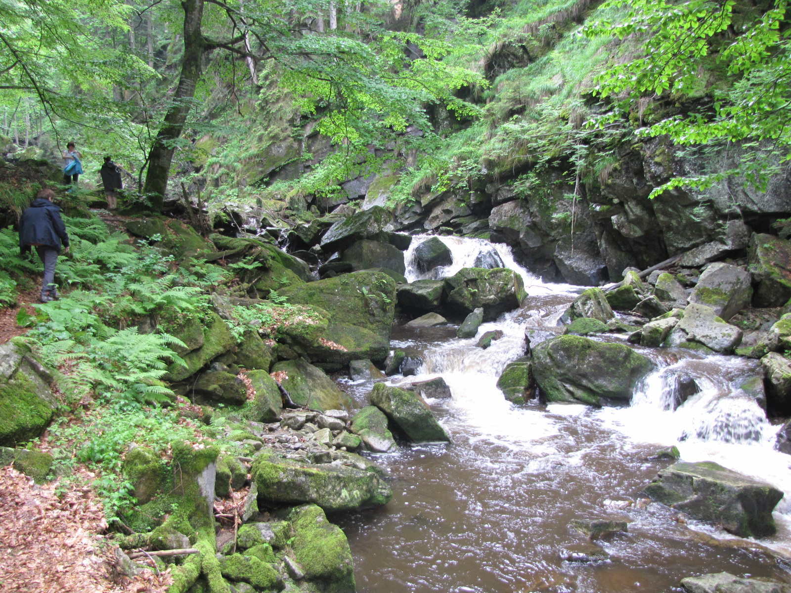 Planina pod Šumikom, Lobnica patak szurdoka, SzG3