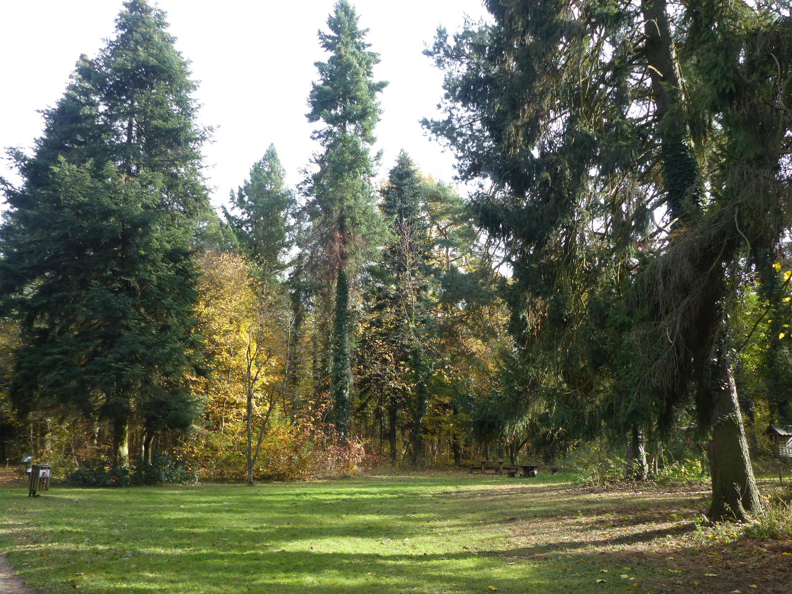 Gödöllő, az Arborétum, SzG3