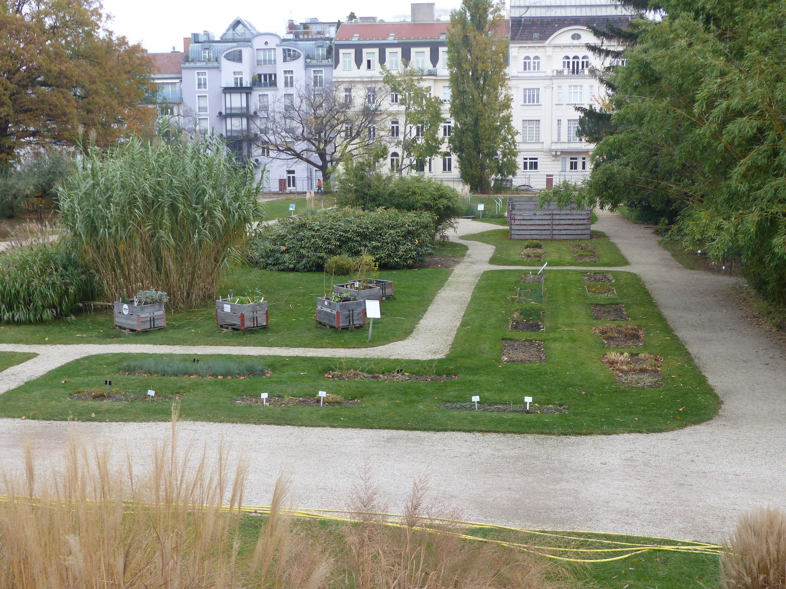 Bécs, a Bécsi Egyetem Botanikus kertje, SzG3