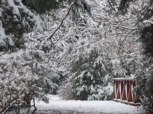 Vácrátót, az Arborétum, SzG3