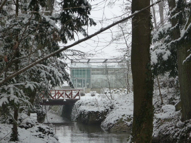 Vácrátót, az Arborétum, SzG3