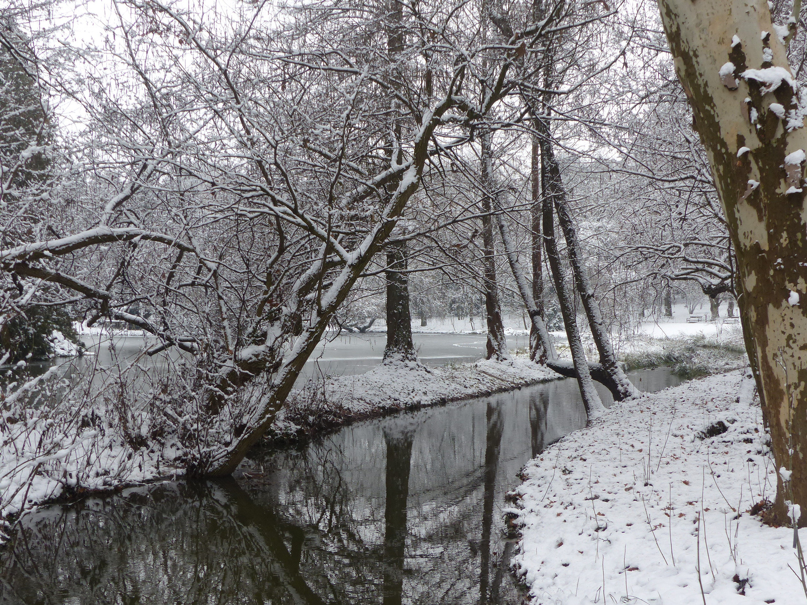 Vácrátót, az Arborétum, SzG3