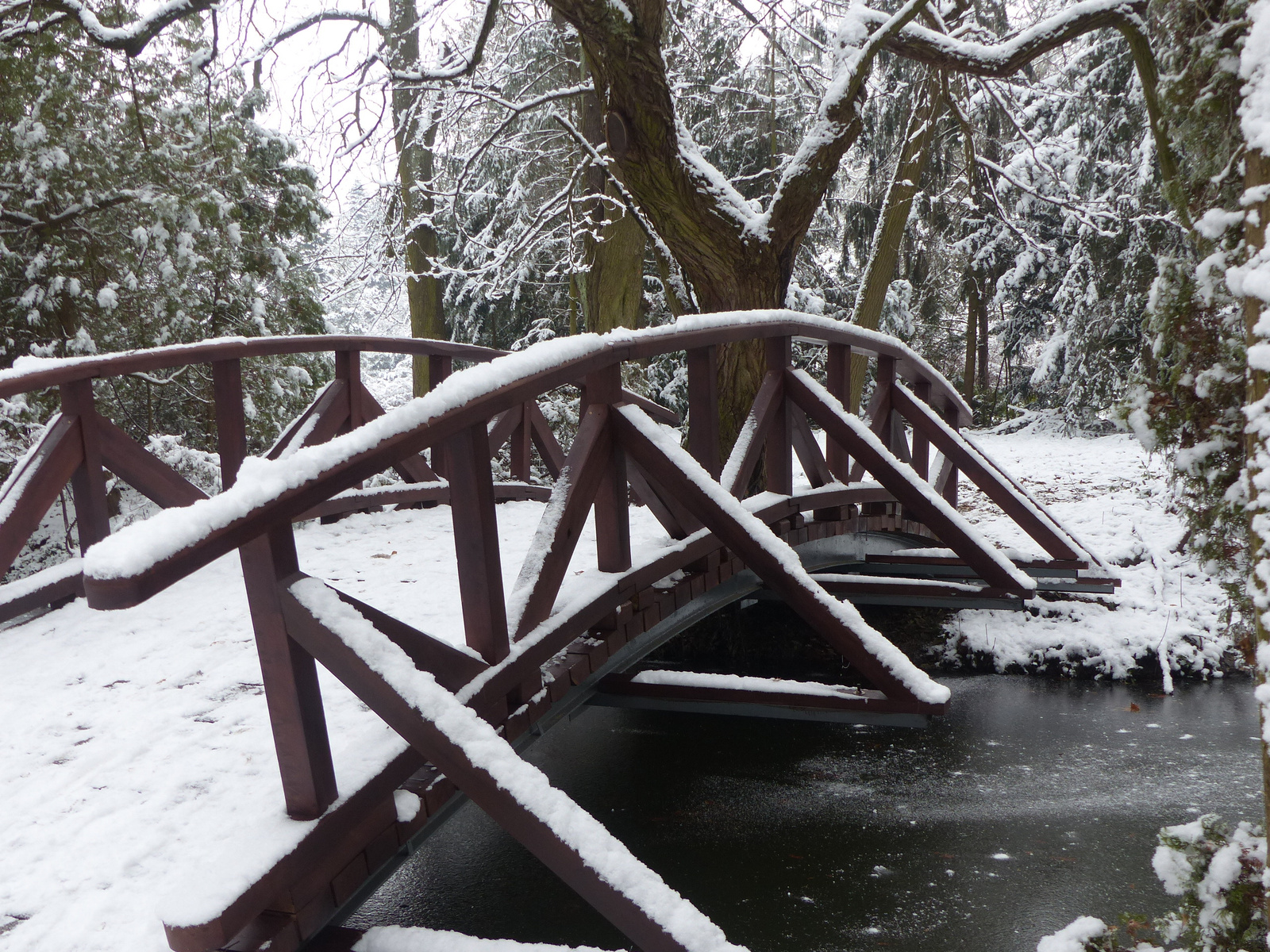 Vácrátót, az Arborétum, SzG3