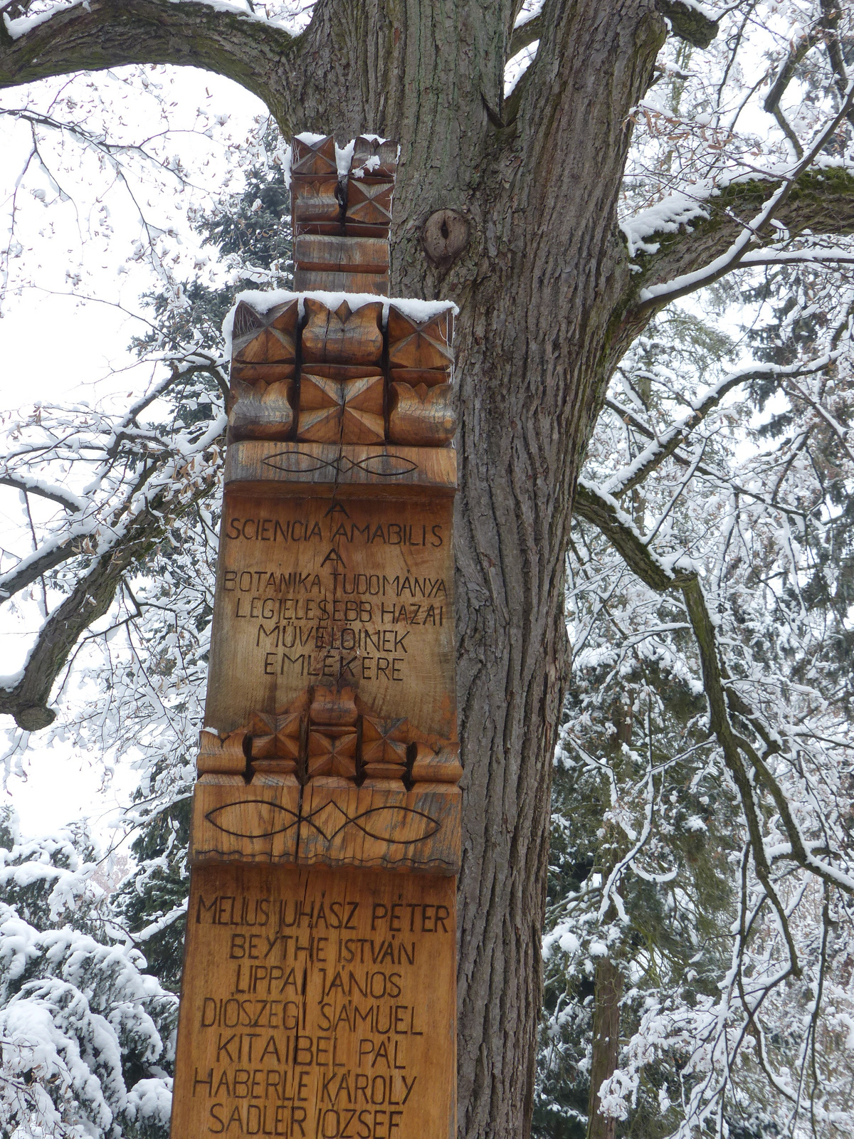 Vácrátót, az Arborétum, SzG3