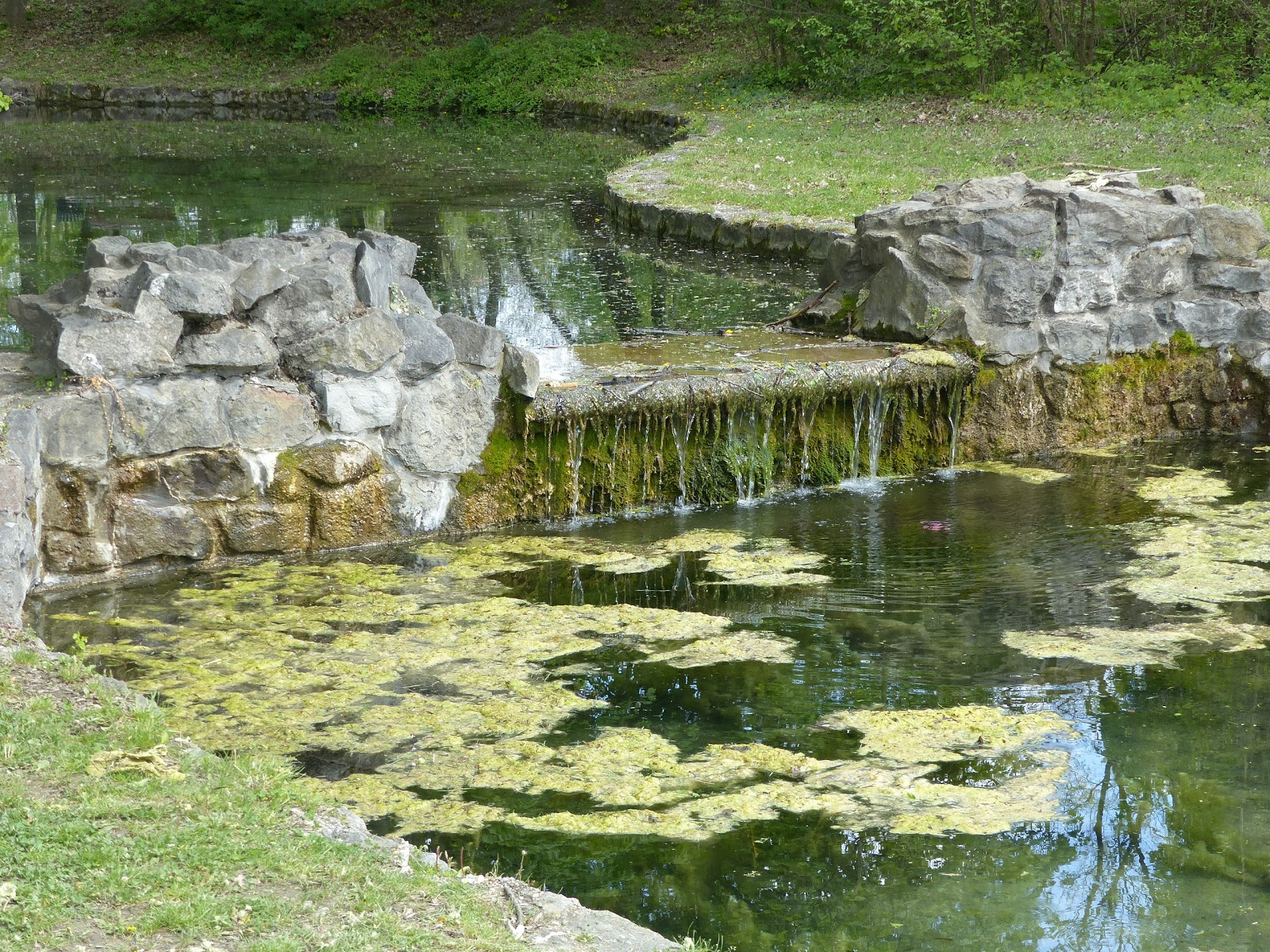 Tata, Angol Park, Angyal forrástó, SzG3