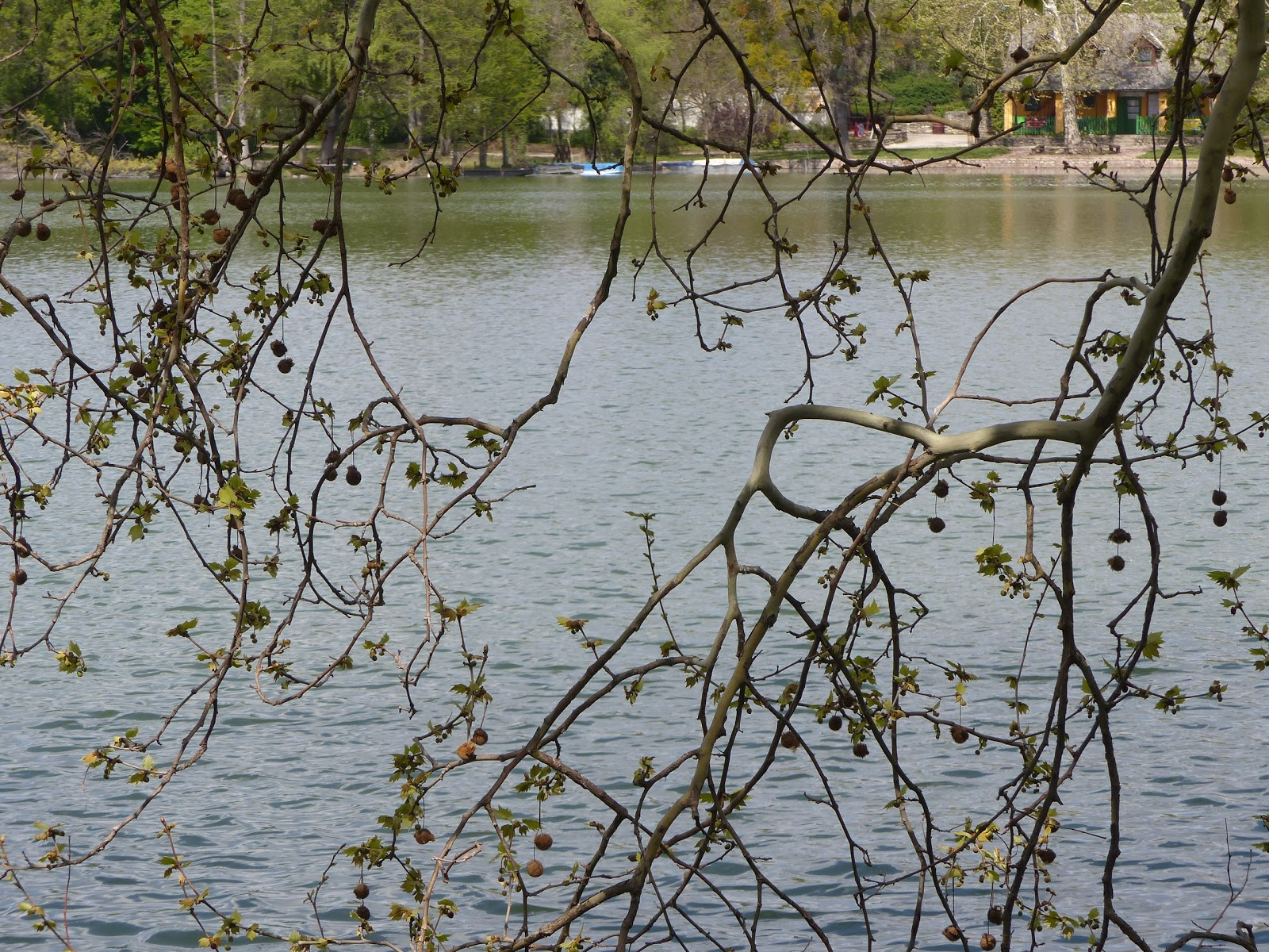 Tata, Cseke tó, Angol park, SzG3