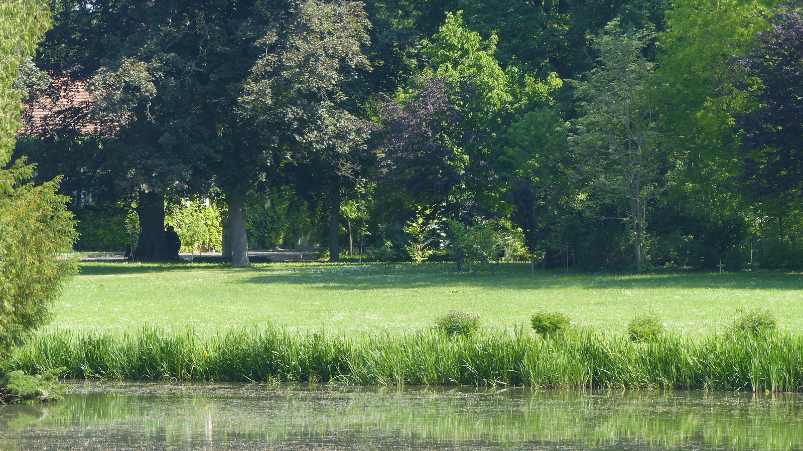 Magyarország, Vácrátót, az Arborétum, SzG3