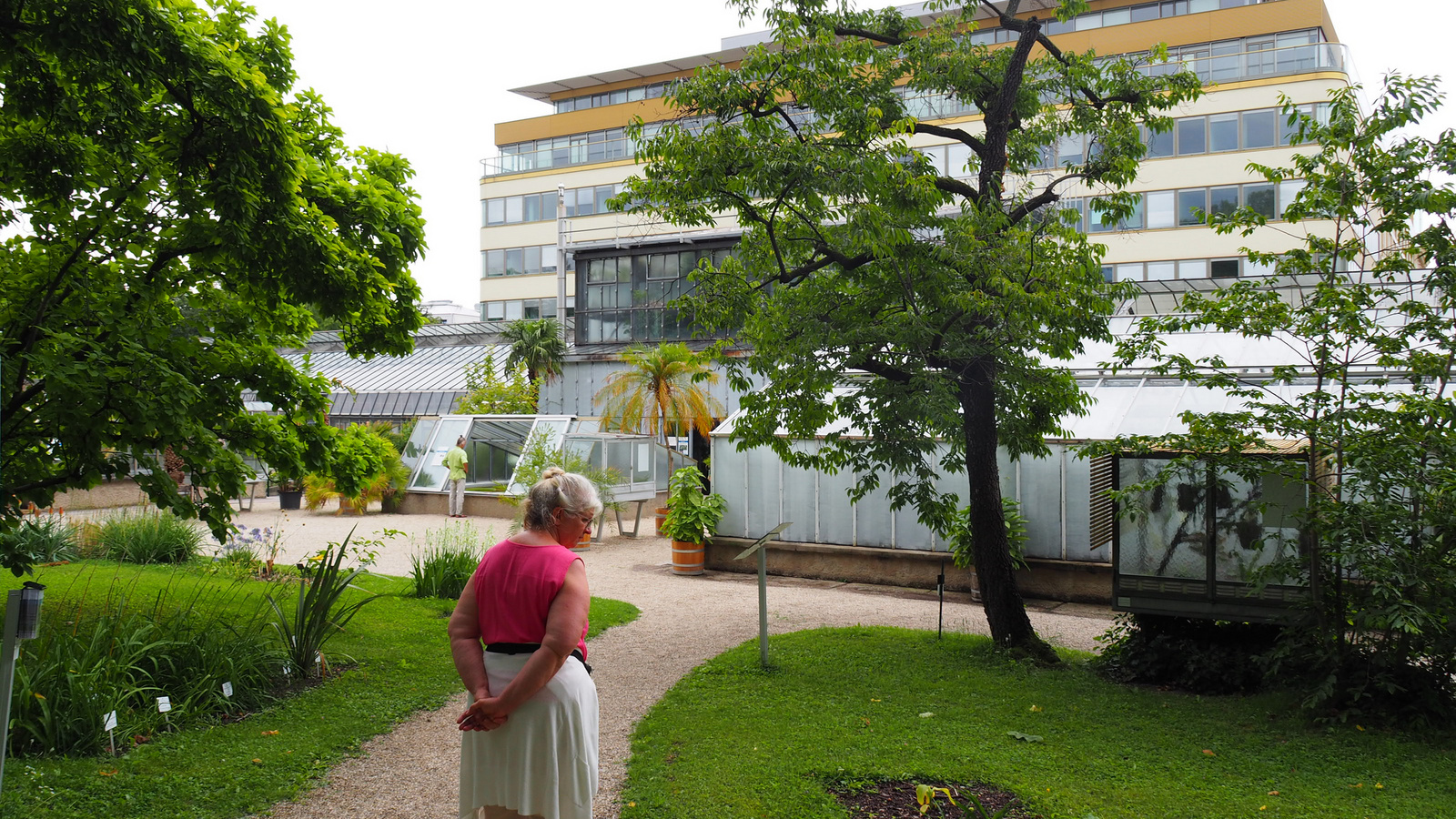 Bécsi Egyetem Botanikus kertje, SzG3