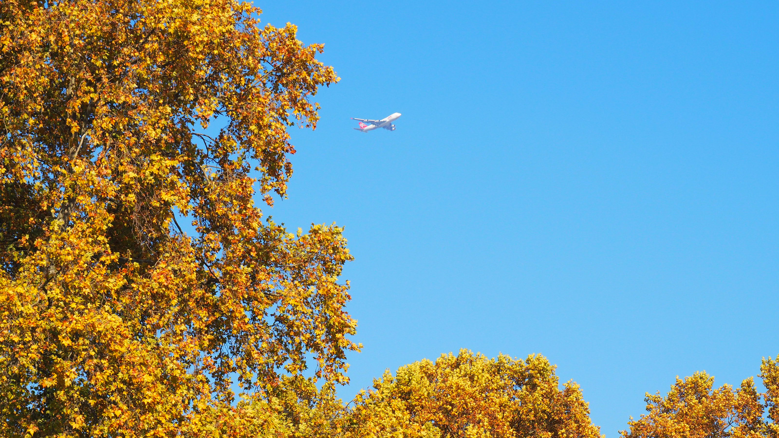 Budapest, az őszi Margitsziget - 2021, SzG3