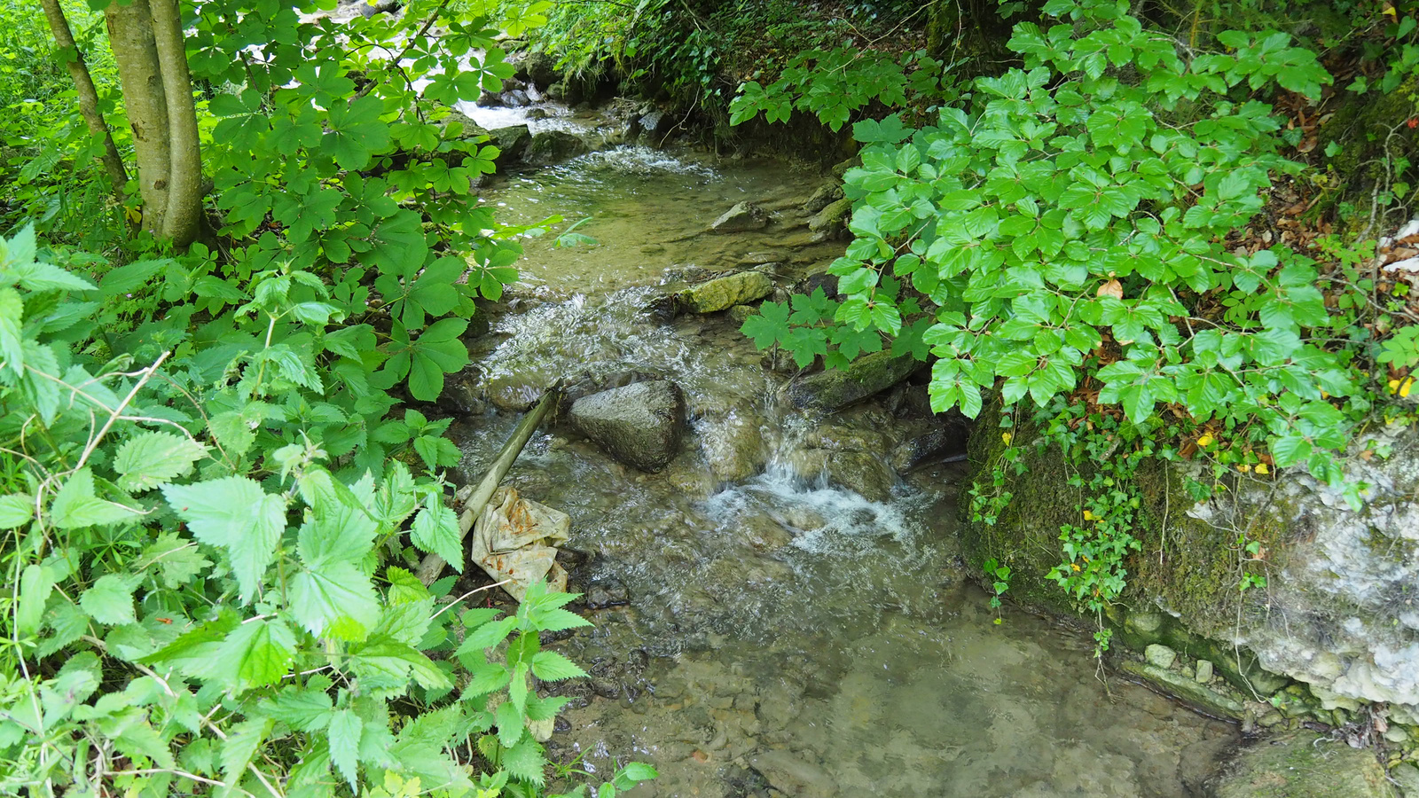 Németország, Tengen, Mühlbachschlucht, SzG3