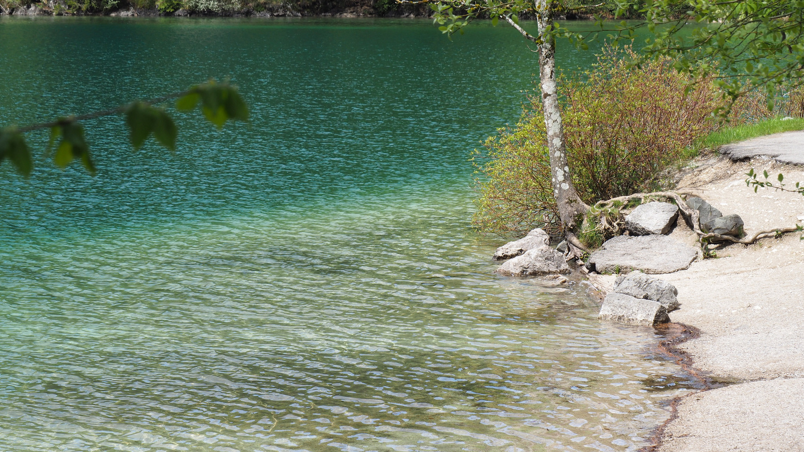 Schwangau, Alpsee, SzG3