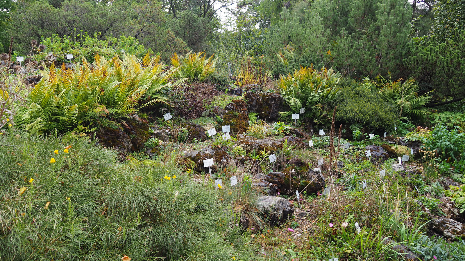 Botanischer Garten der Universität Wien, SzG3