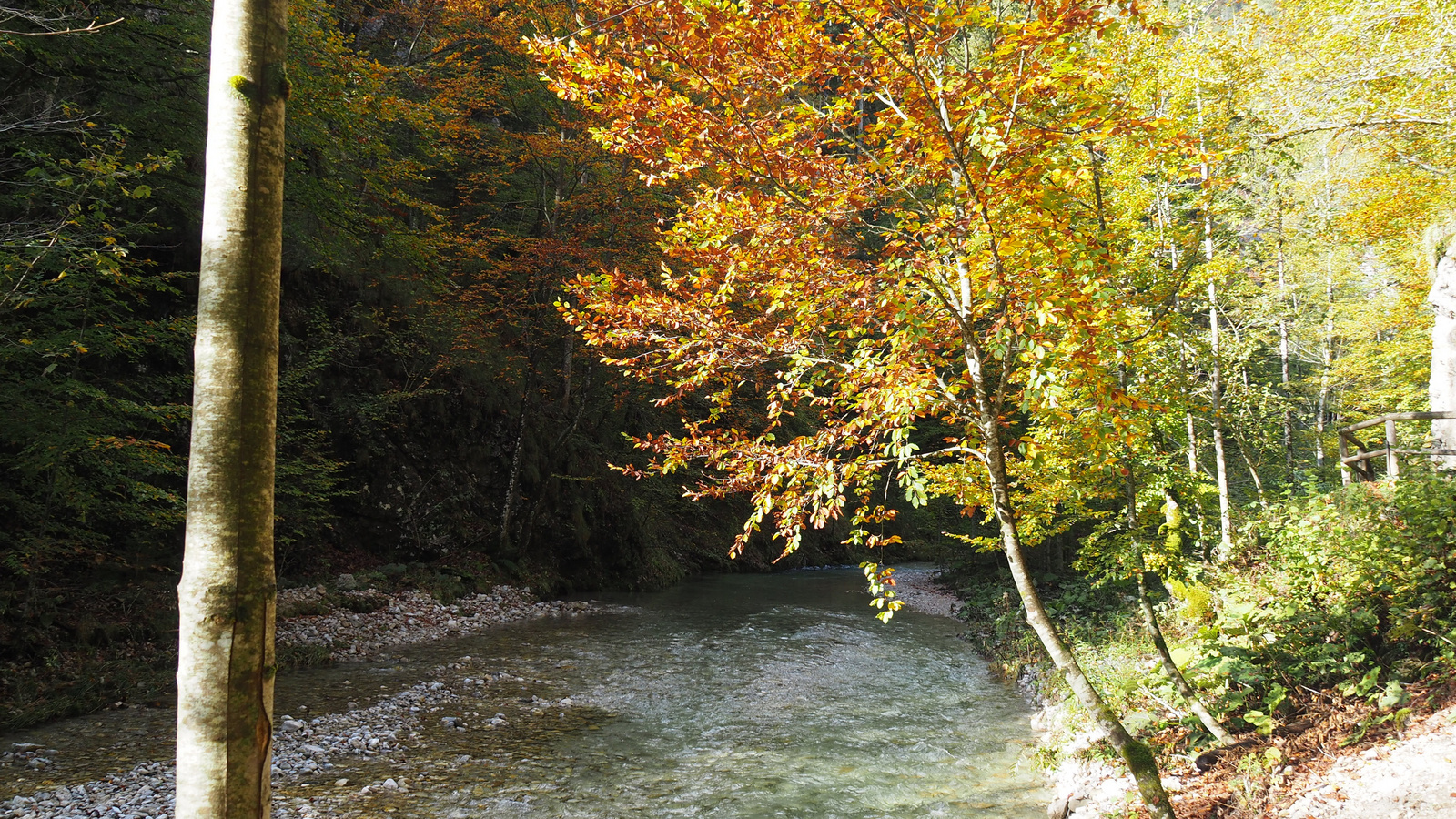 Mendlingtal, Holztriftanlage, SzG3