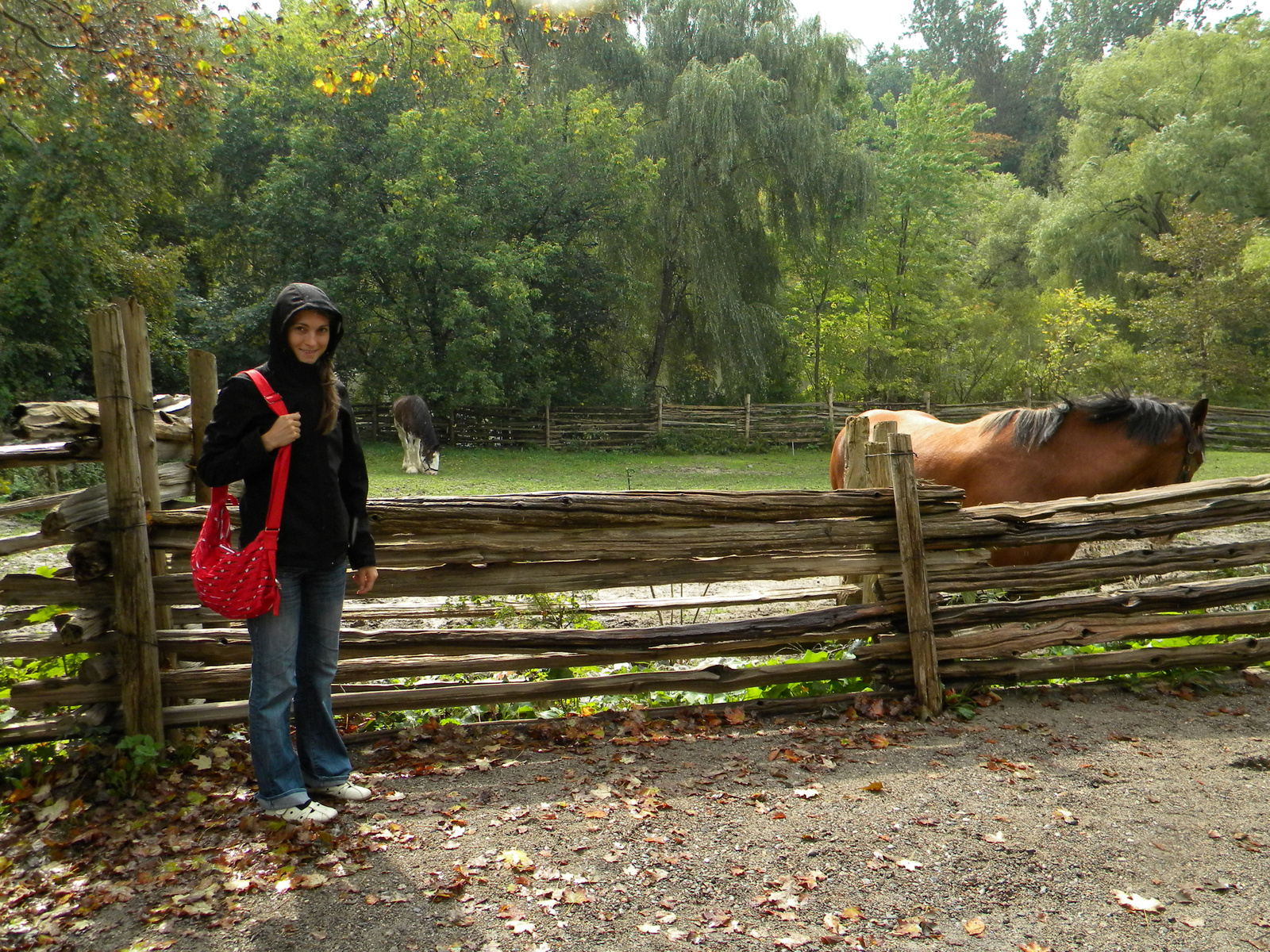 Toronto-10-Black Creek Pioneer Village