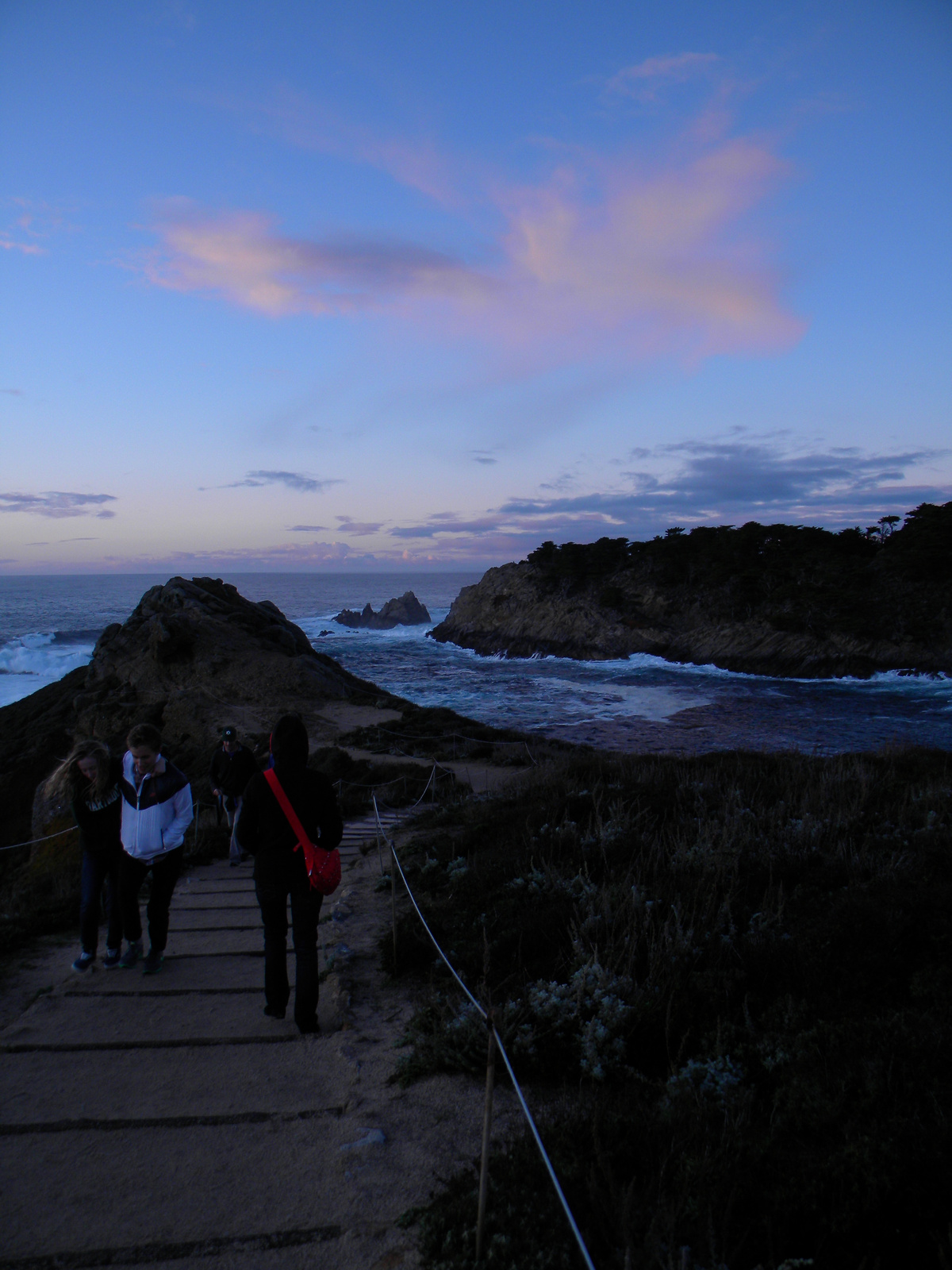 DSCN3614-point lobos