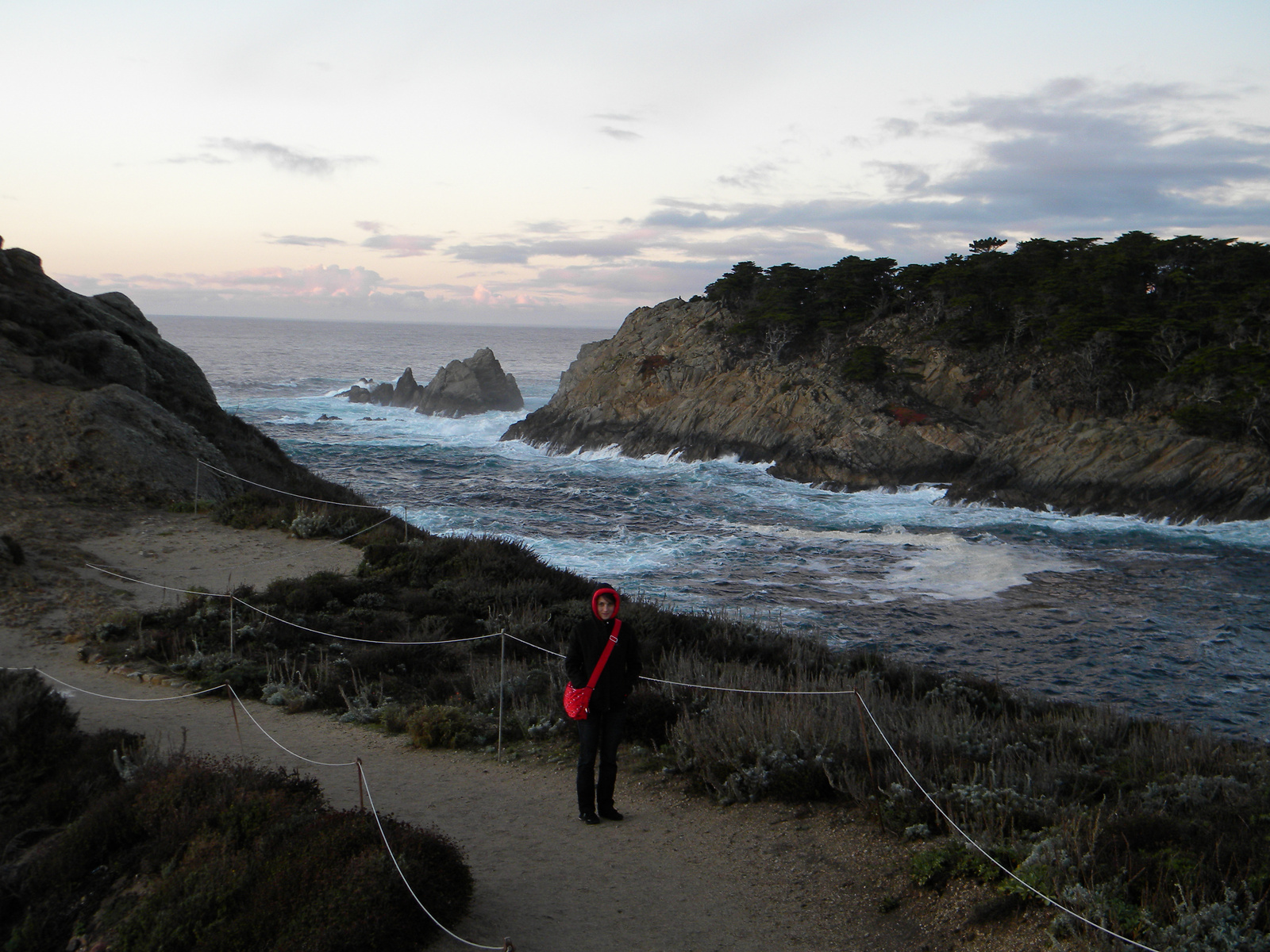 DSCN3616-point lobos