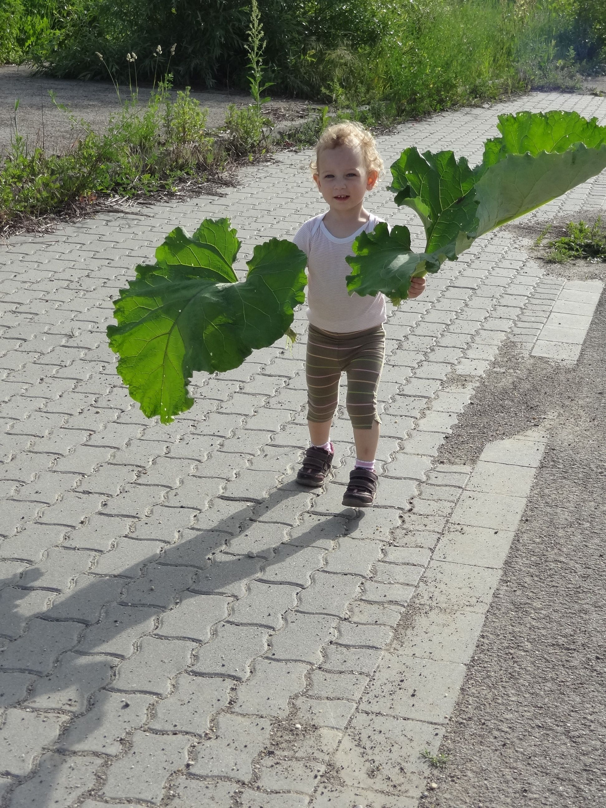 Légiforgalmi irányító