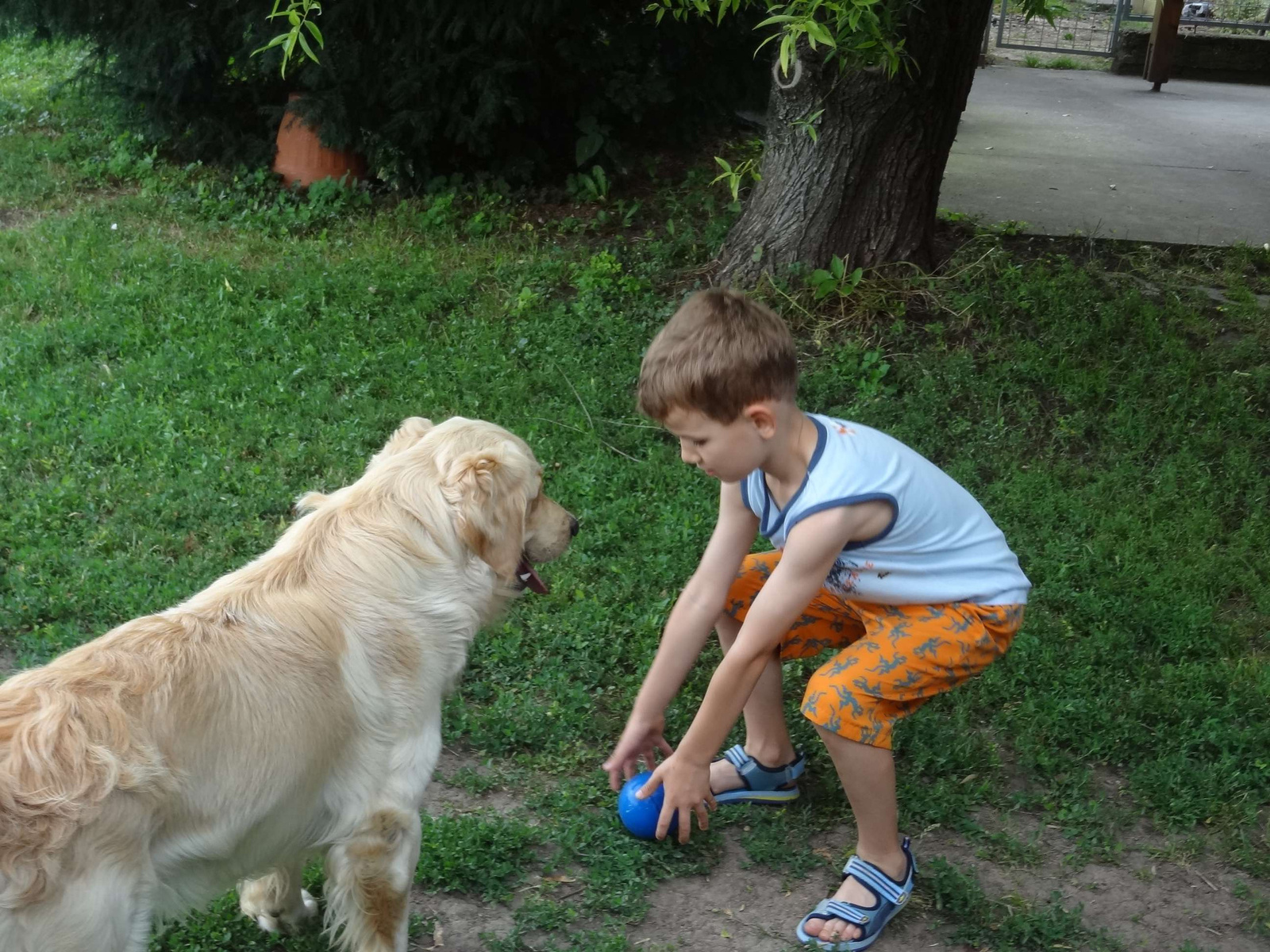 Na jó, gyere, még egyszer játszom veled!