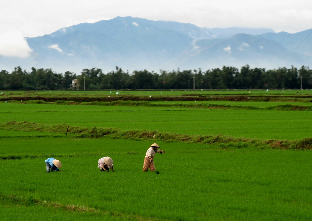 HOI AN