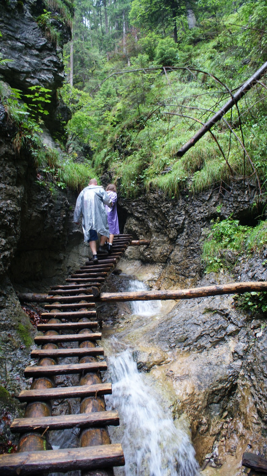 2009.08.08  szlovákia 183