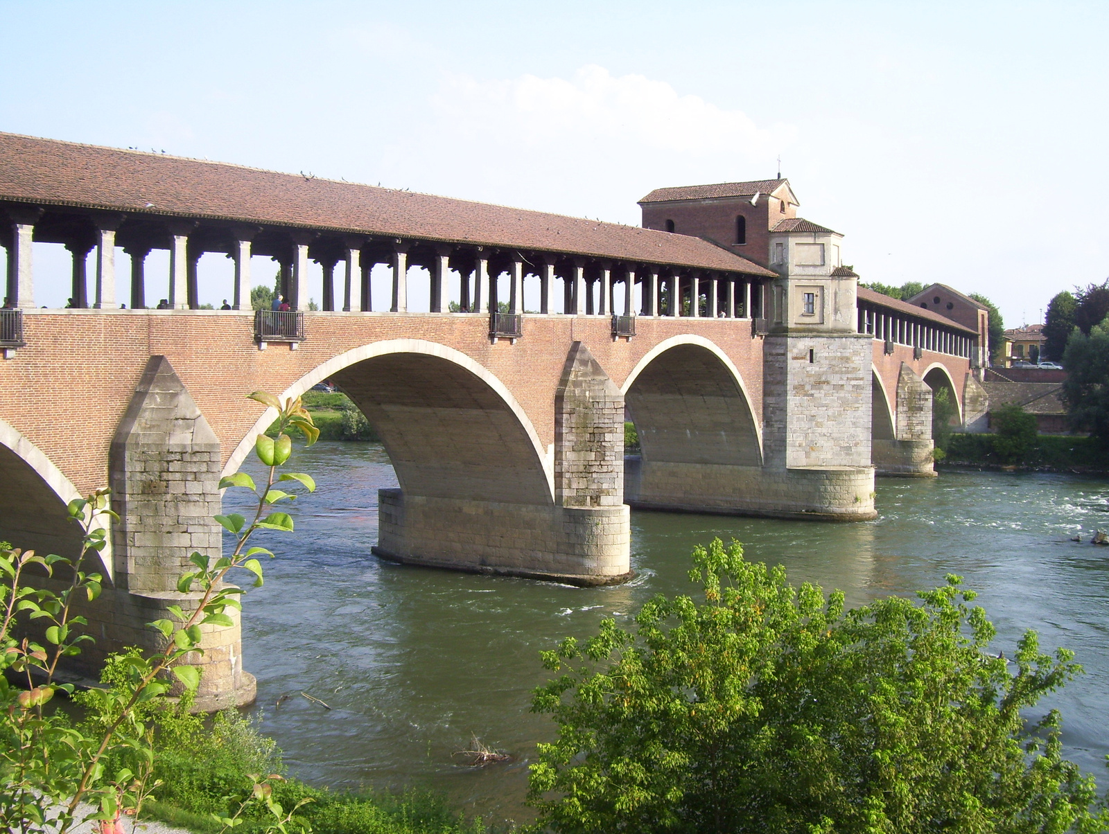 Pavia