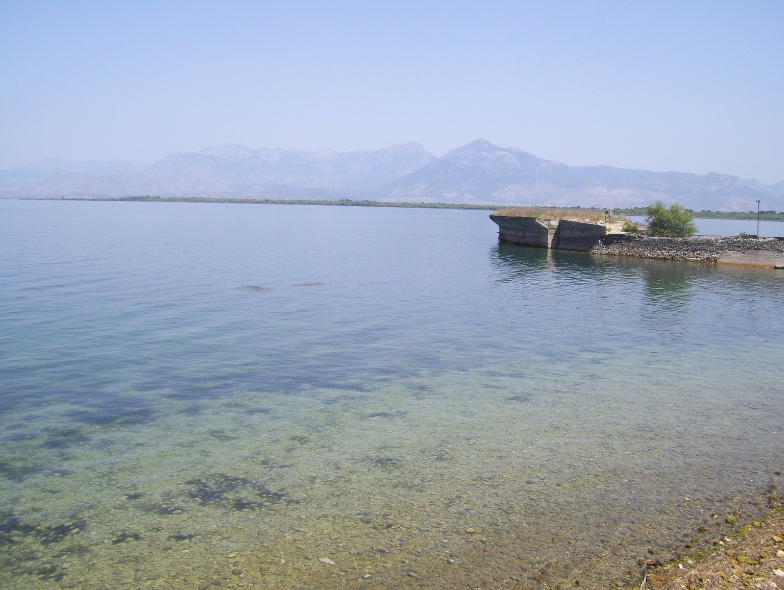 Skadra-tó, Albánia