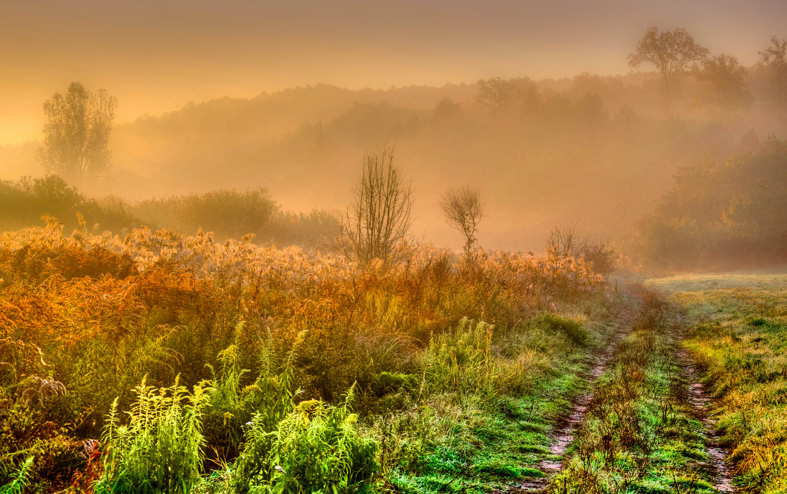 Eltúlzott ősz-HDR