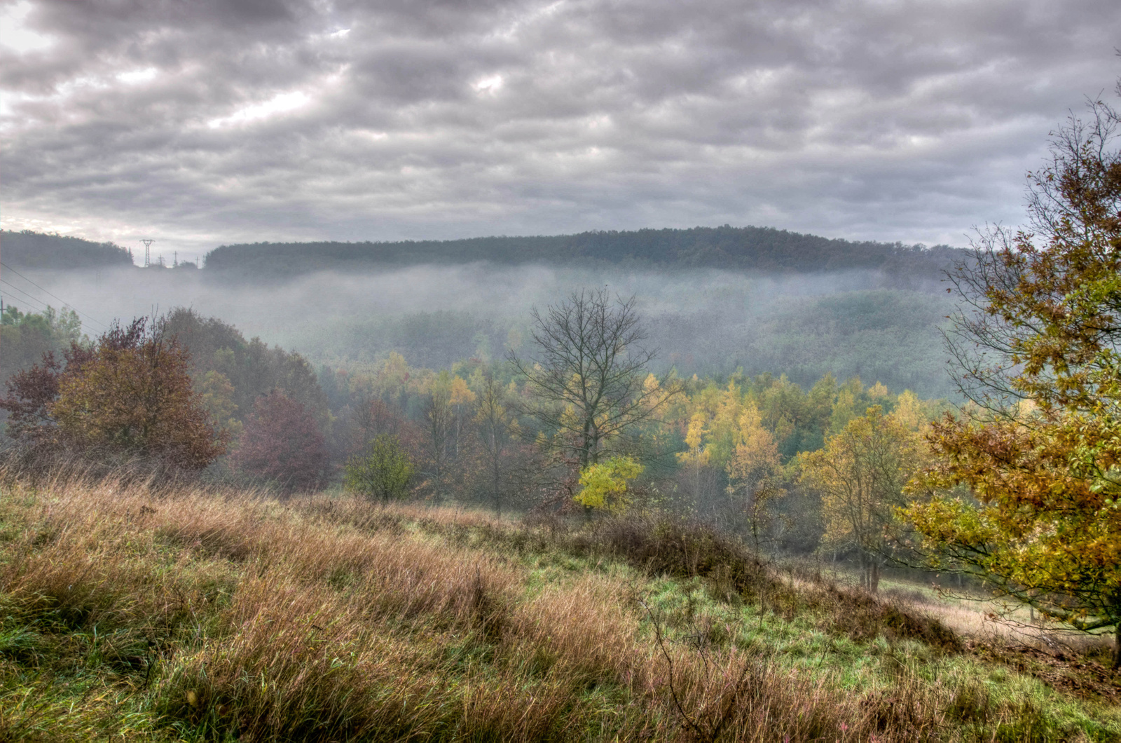 Gyümölcsös -HDR