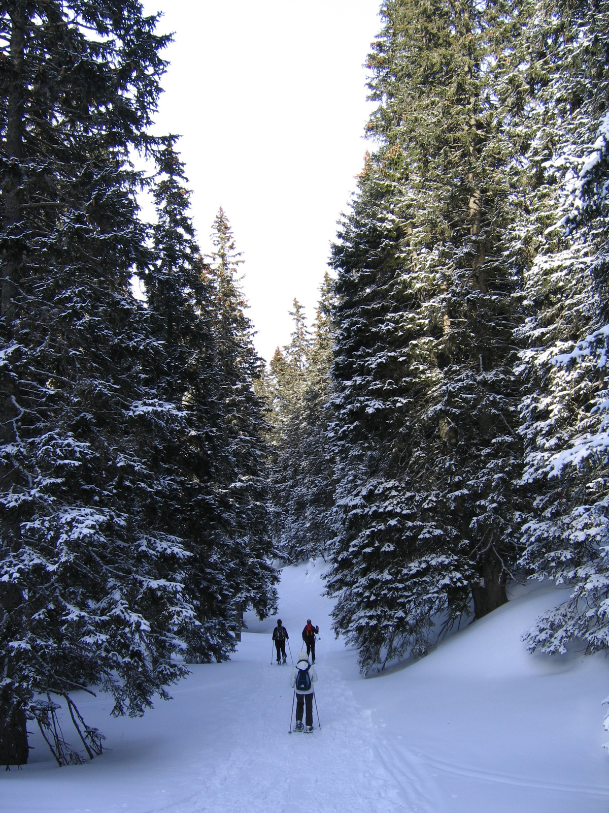 Schneeberg 2008.febr.