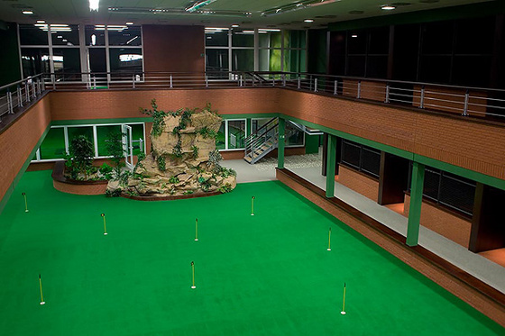 indoor-golf-court