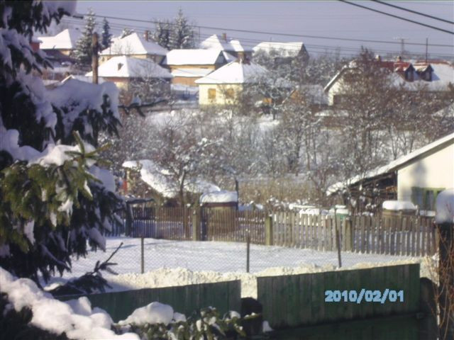 2010. február DOROGHÁZA 182