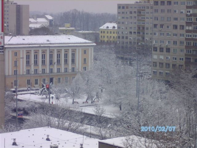 2010. február DOROGHÁZA 296