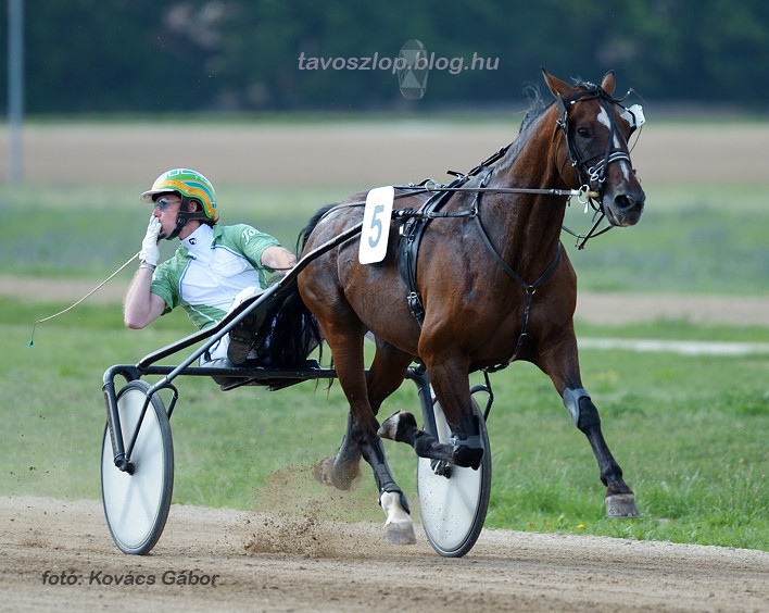 LOVASÉLET SPRINTER KUPA