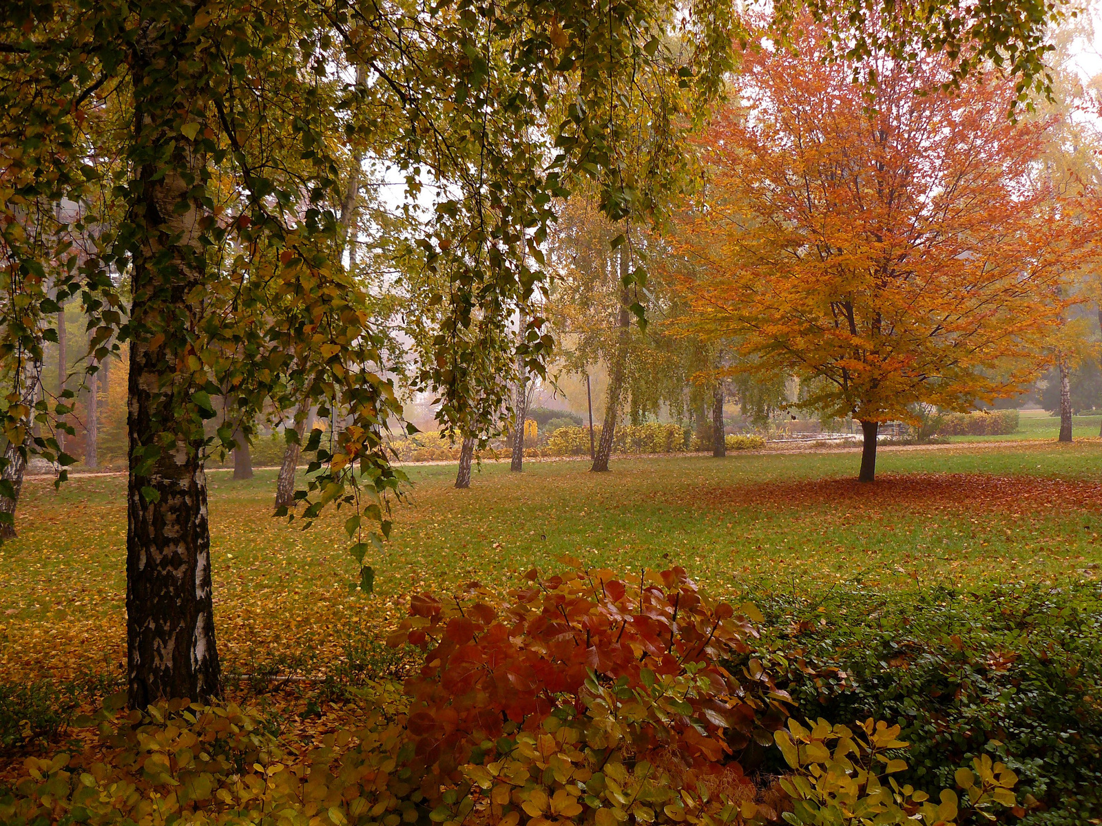 Az utolsó posta, 2011.őszén