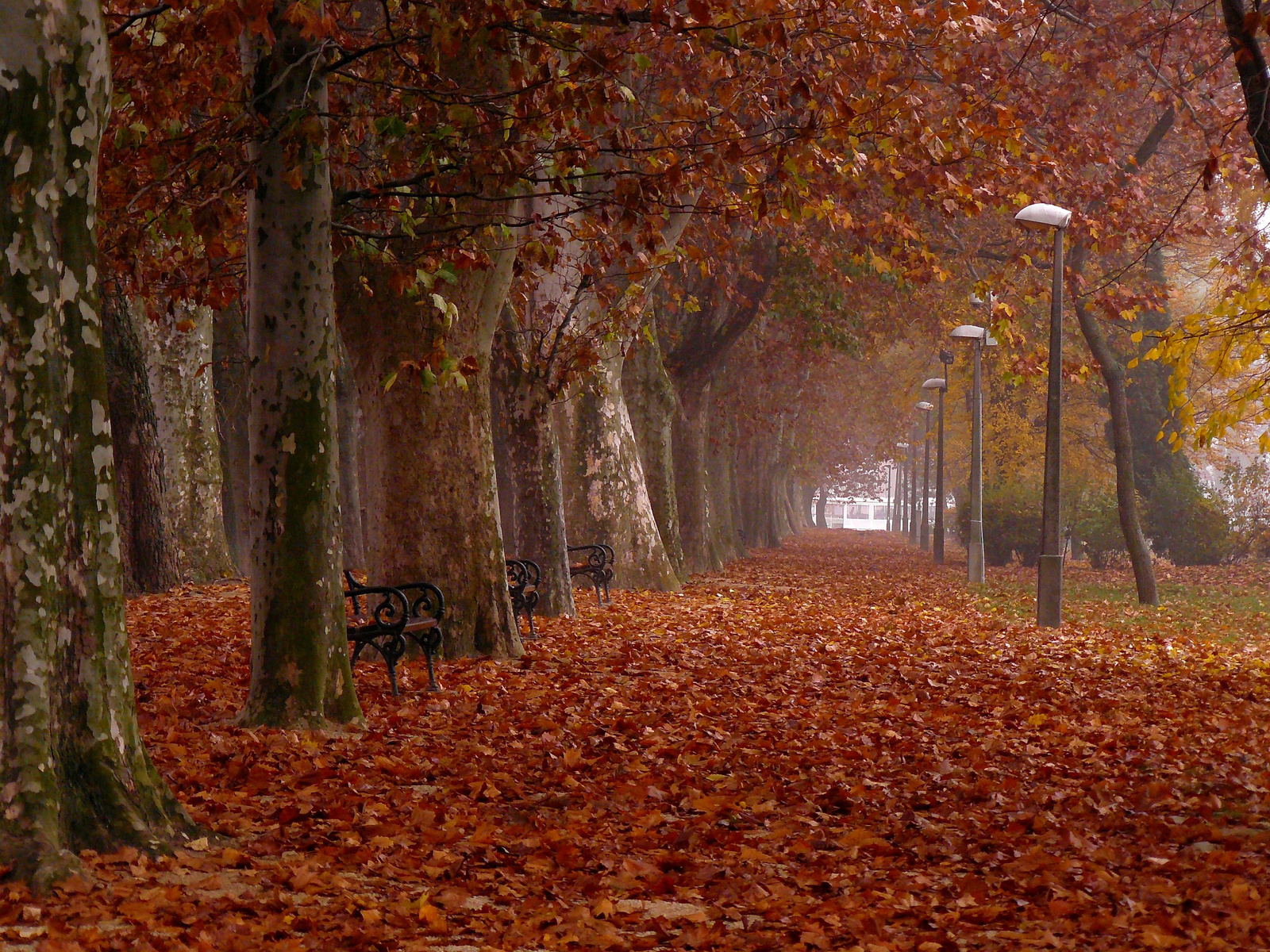 Az utolsó posta, 2011.őszén