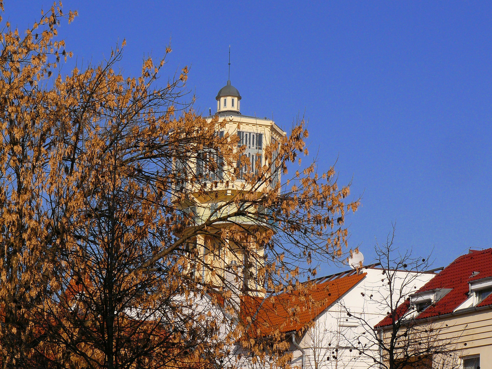 Siófok, 2012-1-27