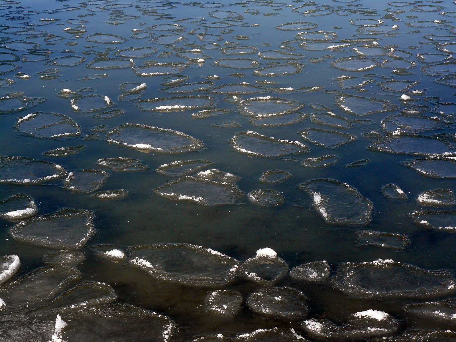 Siófok, 2012-2-1