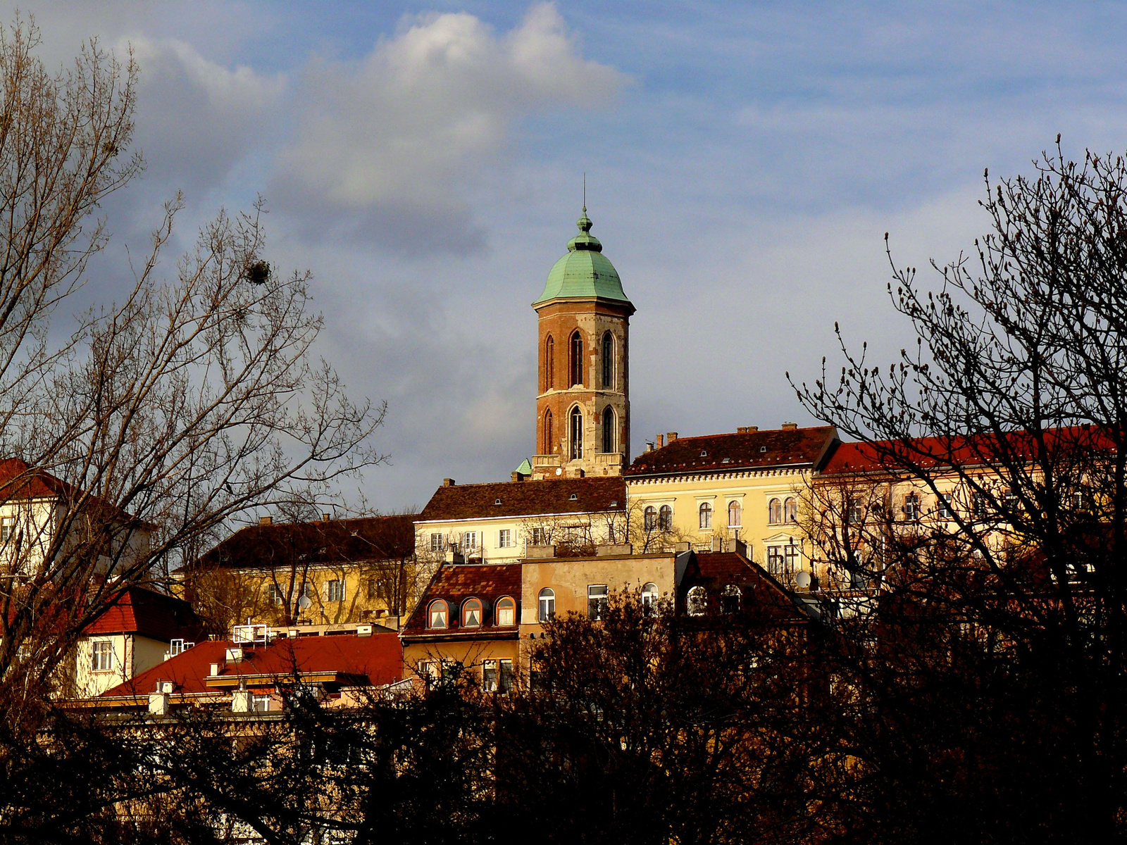 Vérmezőről a Vár déli "lejtője", 2012.március